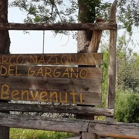 Bed & Breakfast Mattei Domus 3*