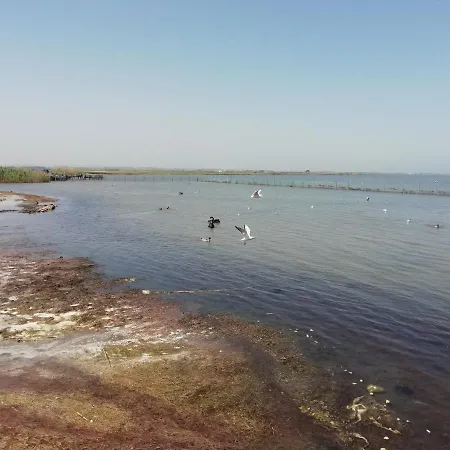 Bed & Breakfast Mattei Domus