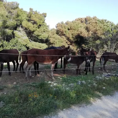 Mattei Domus Bed & Breakfast