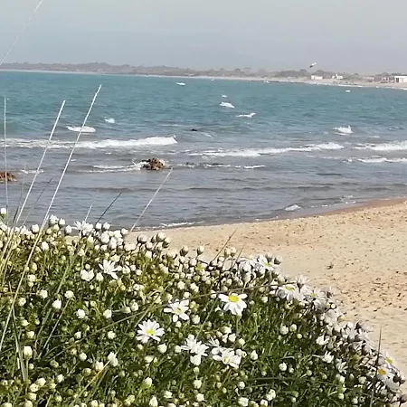 Mattei Domus Bed & Breakfast Lesina