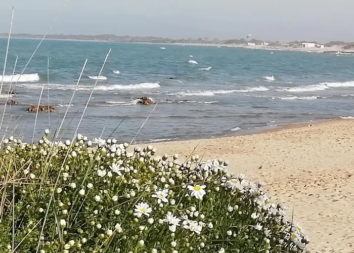 Mattei Domus ベッド・アンド・ブレックファスト レージナ